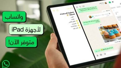 Official Whatsapp app for iPad