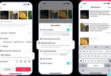 TikTok Alt Text Accessibility