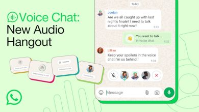 whatsapp voice chat