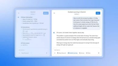Guided Learning in Gemini